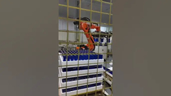 Bekijk hoe fabrieksrobots automatisch met lithiumcellen omgaan! #lithiumbattery #lifepo4