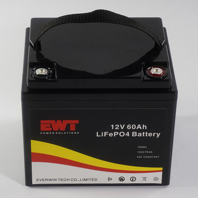 kopen Gepersonaliseerd logo 12V 60AH LiFePo4 batterij opslagdoos Metalen behuizing voor LED-licht 4000 werkcycli online vervaardiging
