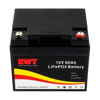 EWT back-up energiesysteem LiFepo4 12v 60ah accu