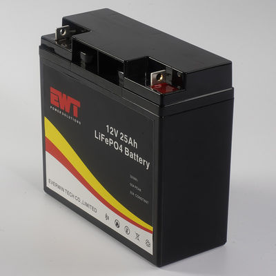 Lifepo4 batterij 12V 25Ah Lithium Iron Phosphate batterij met Smart BMS