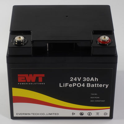 Lithium Iron Phosphate 24V LiFePO4 batterij superieure kracht voor elk klimaat en temperatuur