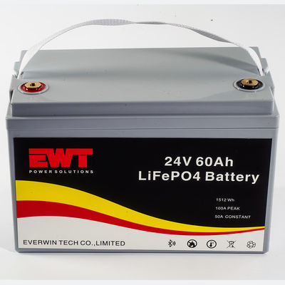 Lithium Iron Phosphate 25.6V 60AH batterij met Smart BMS EWT Factory Wholesale Online